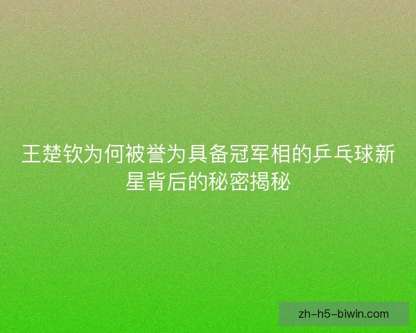 王楚钦为何被誉为具备冠军相的乒乓球新星背后的秘密揭秘