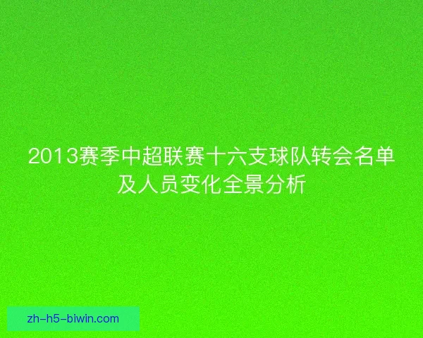 2013赛季中超联赛十六支球队转会名单及人员变化全景分析